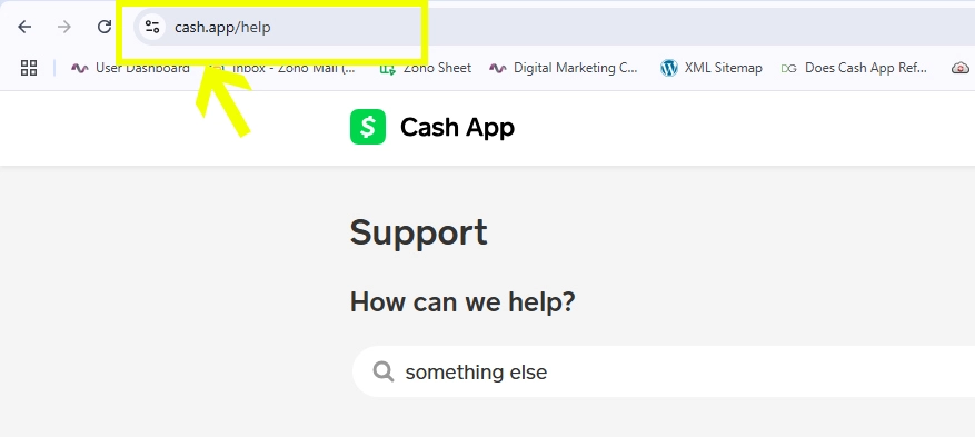 cash app contact support